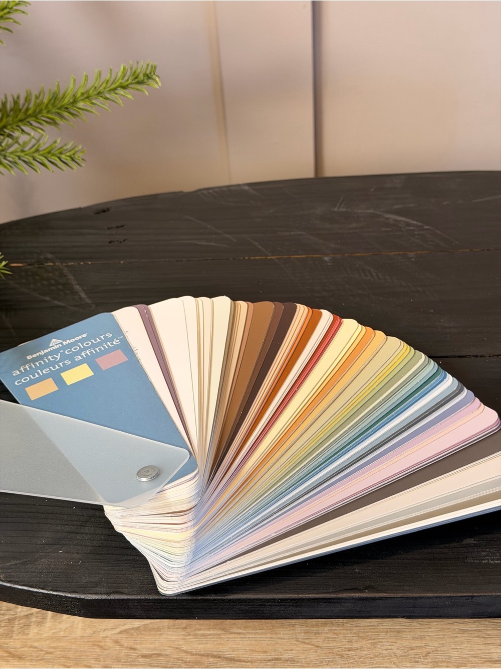 Benjamin Moore Affinity Colours Fan Deck - Multi Color Collection Fan Deck